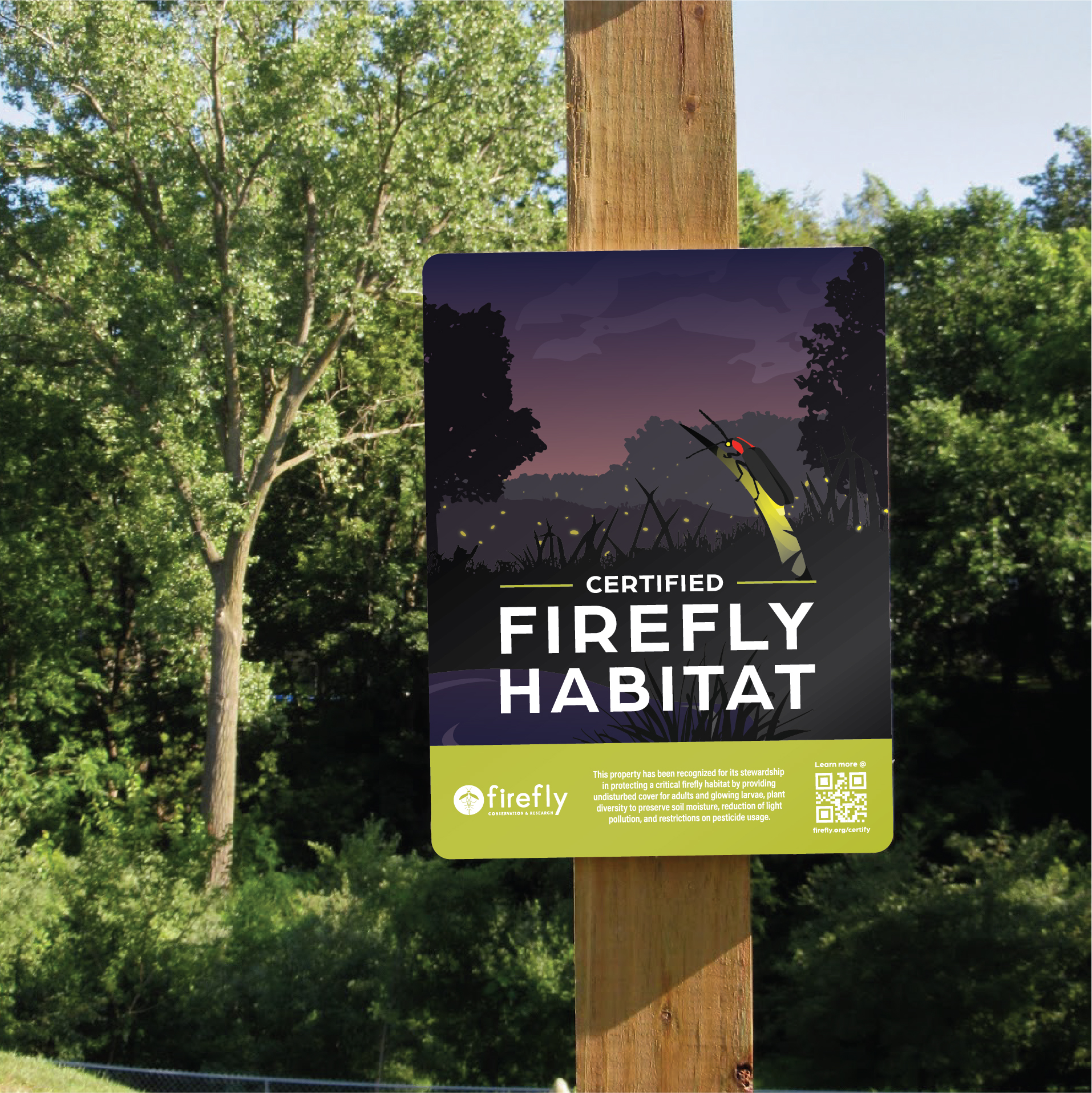 Designate your backyard, nature preserve or land as a Certified Firefly Habitat
