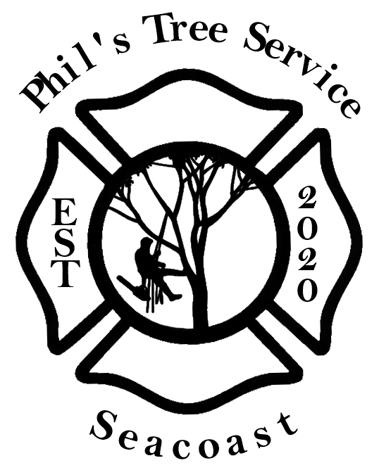 Phil’s Tree Service Seacoast: Making Lee, NH Safer with Quality Tree Care Services